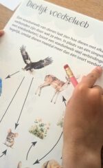 Printable Bosdieren themaonderzoek - Afbeelding 6