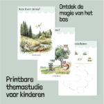 Printable Bosdieren themaonderzoek - Afbeelding 2