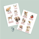 Printable Bosdieren themaonderzoek - Afbeelding 5